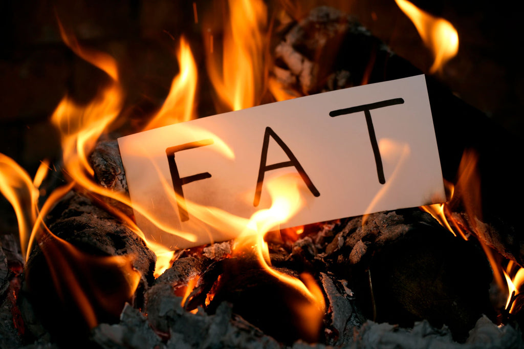 What is Ketosis?